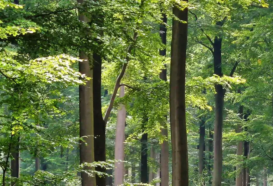 Duurzaamheidsbrochure downloaden | Eigenhuis Keukens
