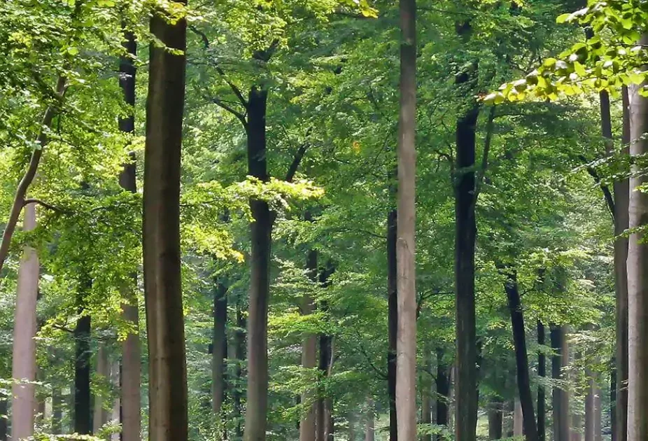 Duurzaamheidsbrochure downloaden | Eigenhuis Keukens