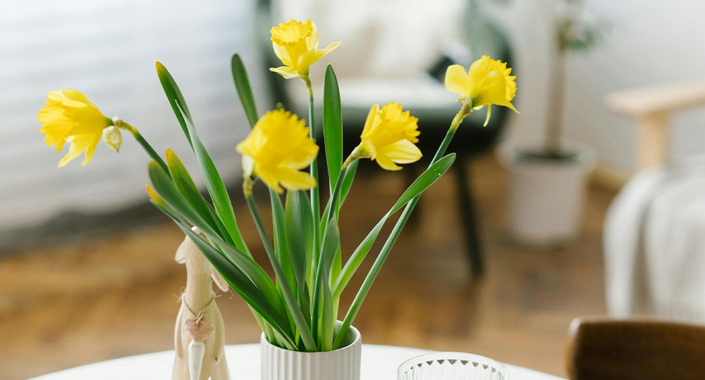 Paasbloemen op de keukentafel | Eigenhuis Keukens Prachtige paasbloemen | Eigenhuis Keukens