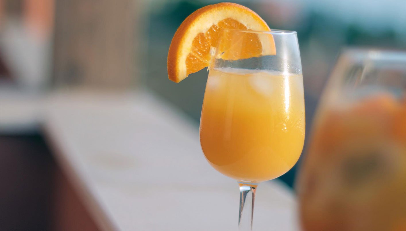 mimosa mimosa